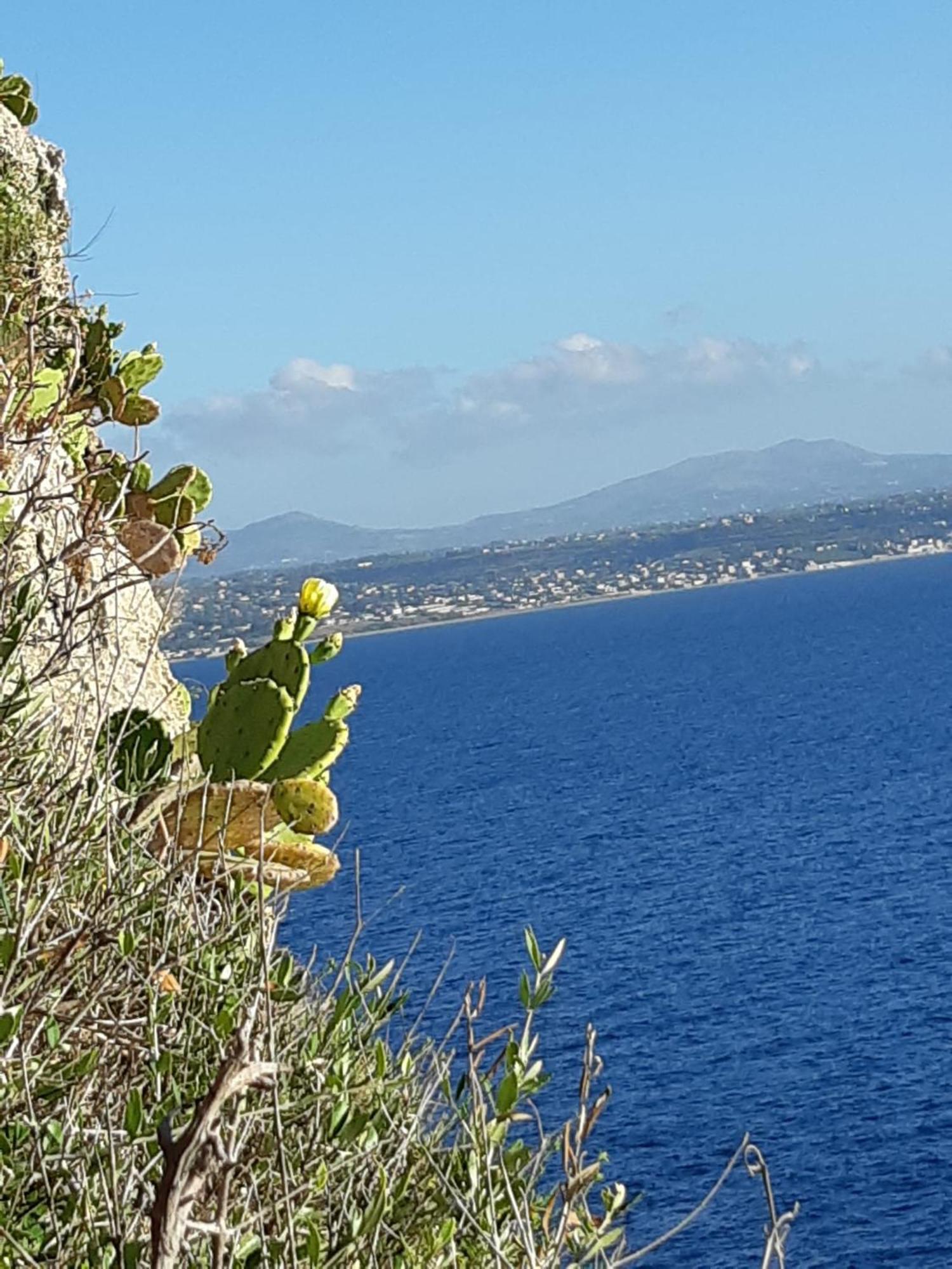 Villa Al Mare 'Happy Summer' Terrasini Eksteriør bilde